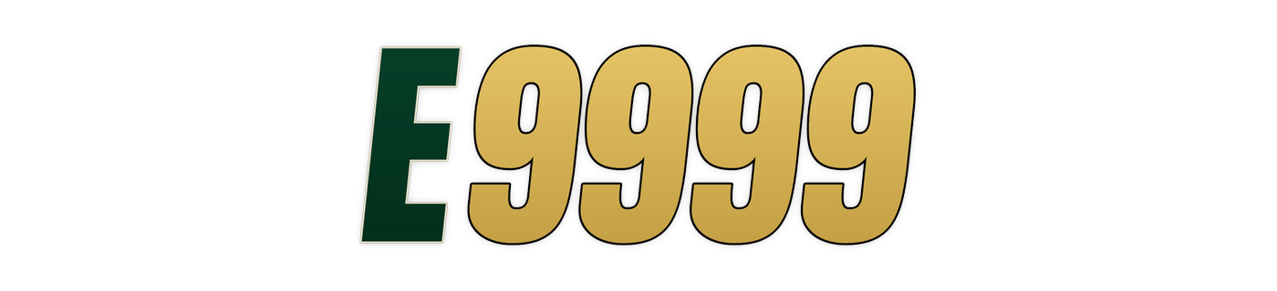 e9999 Logo